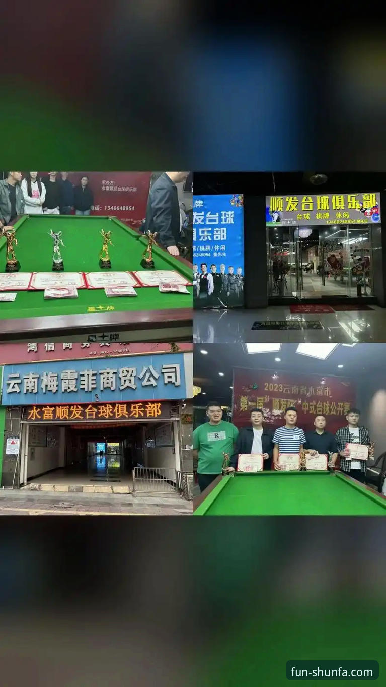 顺发娱乐平台公正透明机制深度分析：从安装到体验的全流程解析